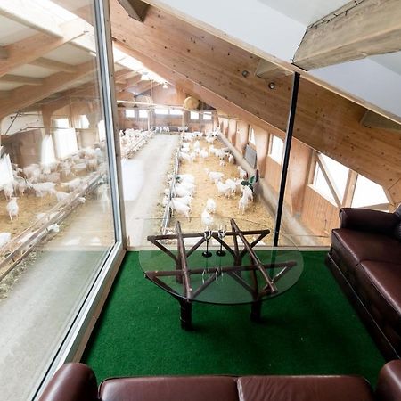 Auszeit Am Ziegenhof Nur Fuer Erwachsene Apartment Schlierbach Luaran gambar