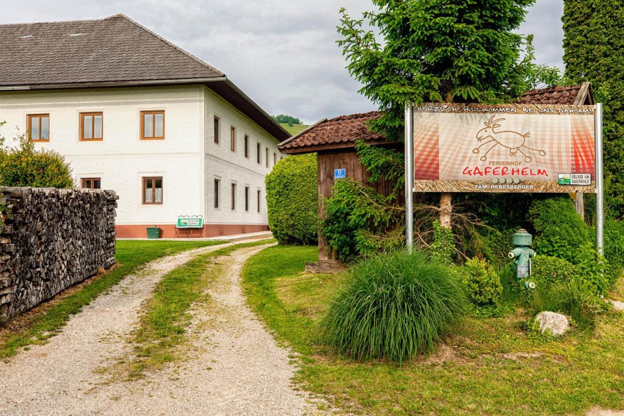 Auszeit Am Ziegenhof Nur Fuer Erwachsene Apartment Schlierbach Luaran gambar