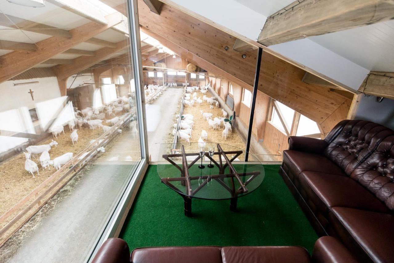 Auszeit Am Ziegenhof Nur Fuer Erwachsene Apartment Schlierbach Luaran gambar