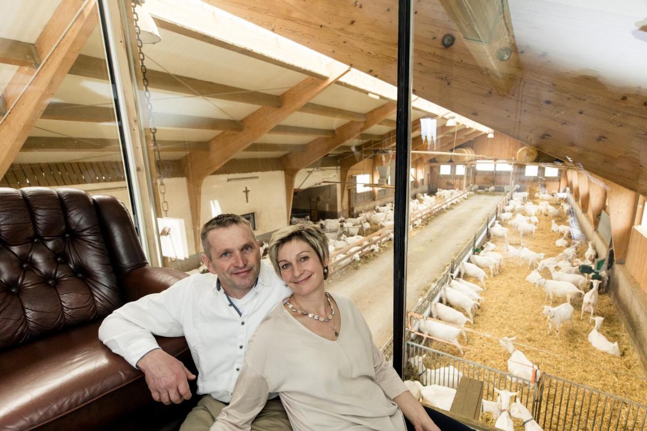 Auszeit Am Ziegenhof Nur Fuer Erwachsene Apartment Schlierbach Luaran gambar